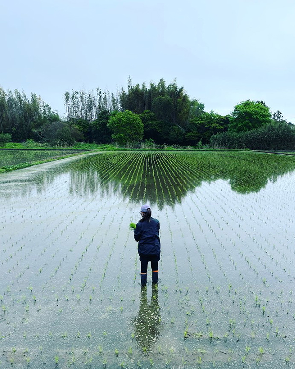Private Mie Farm Tour: Temple Meditation & Rice Experience 1