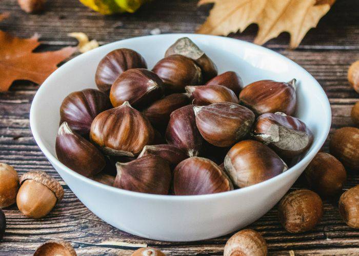 Chestnuts in a white bowl, surrounded by fall leaves and acorns for decoration.