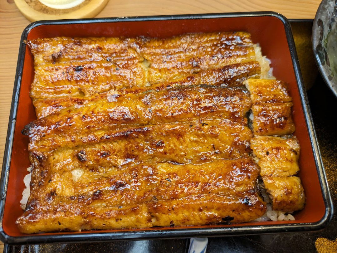 A traditional unagi eel dish, laying grilled eel on a bed of rice.