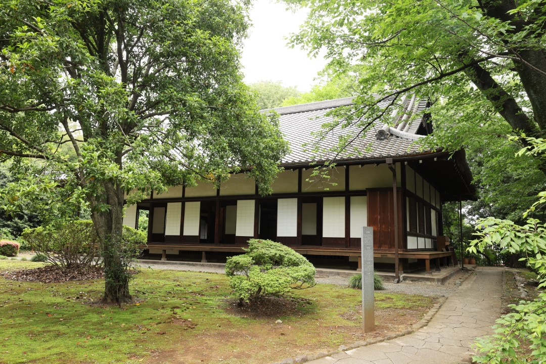 Tokyo National Museum Historic Teahouse Tour & Dining (Ueno)