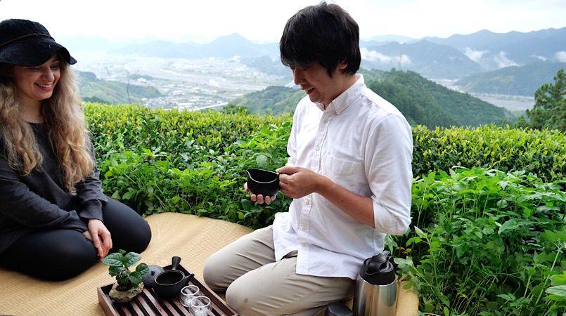 Shizuoka Tea Farm Tour with Factory Visit and Tea Tasting 1