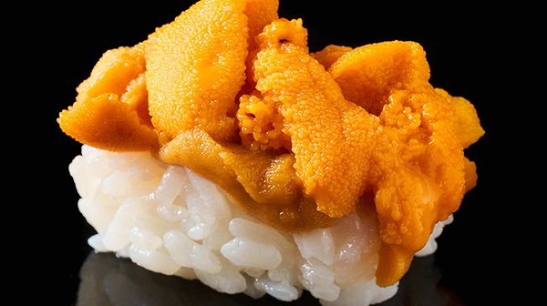 Fresh uni sushi atop vinegared rice showcasing gourmet Japanese cuisine