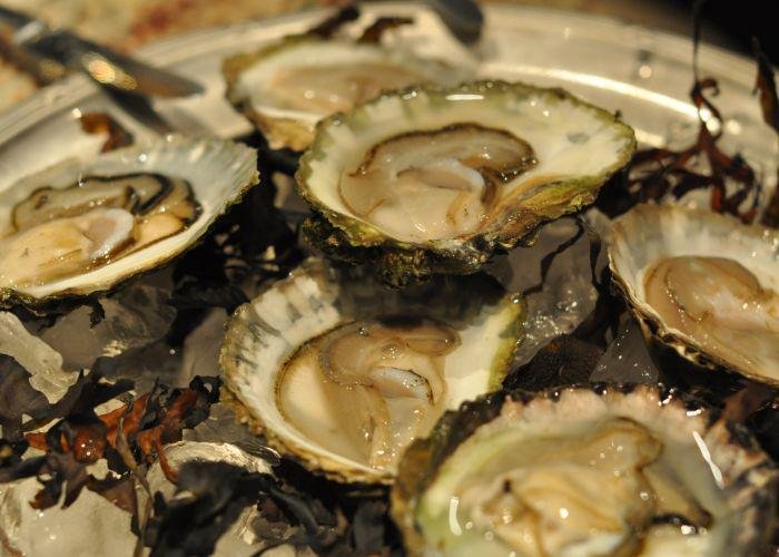 A plate of Matsushima Oysters