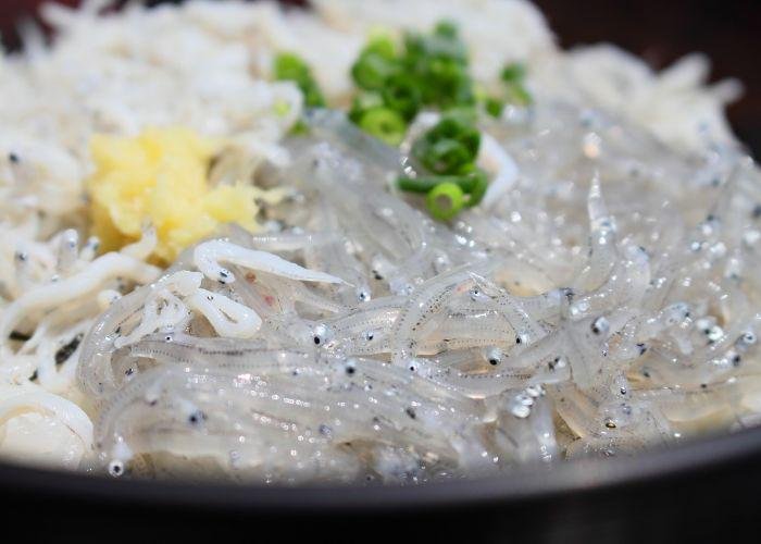 A close up image of shirasu fish on top of a rice bowl