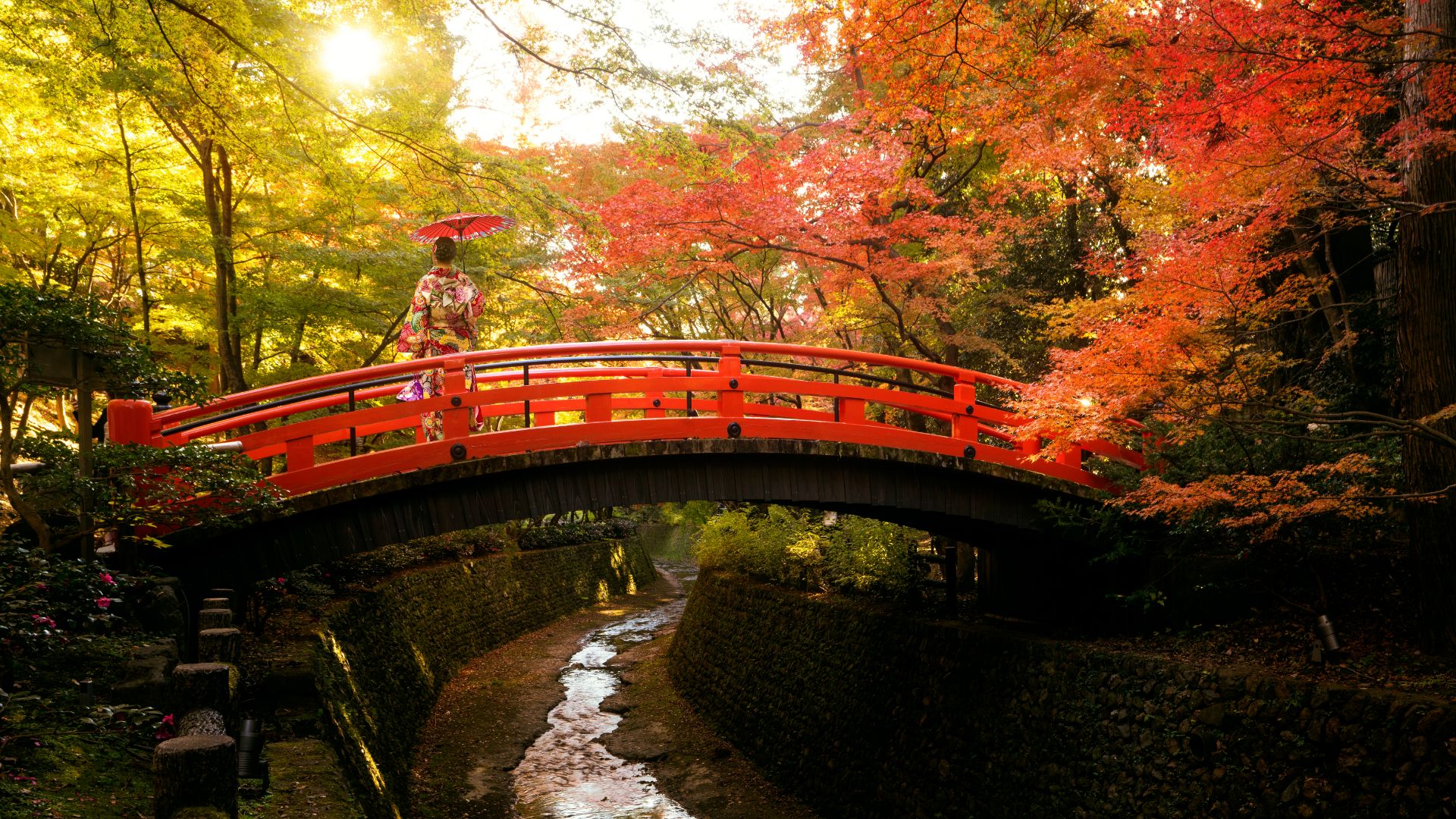 Kyoto Fall Guide 2025 Best Spots for Fall Foliage
