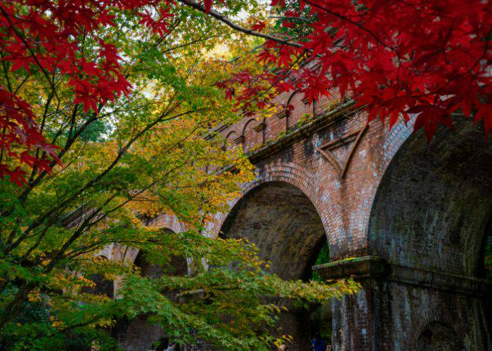 Kyoto fall foliage set against the red brick of a bridge.