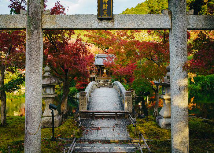 Looking through a stone torii gate and into the fall foliage at Eikando Temple.