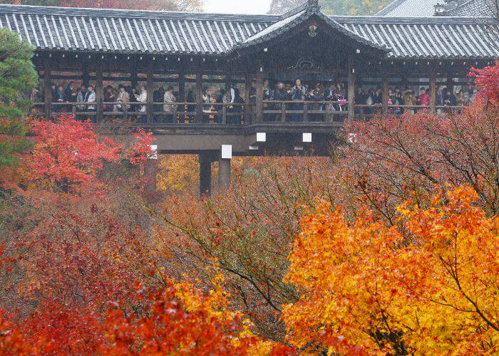 The famous Tsutenkyo Bridge of Tofukuji Temple, a popular spot for viewing fall foliage.