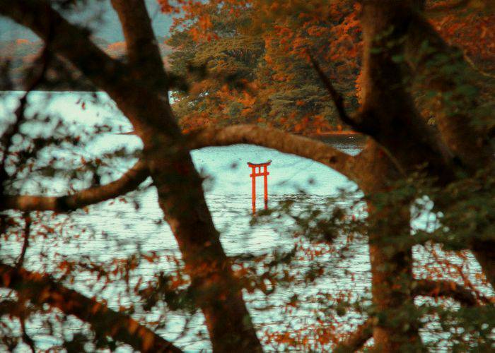 Looking through the fall foliage at Lake Ashi, where a red torii gate stands tall in the water.