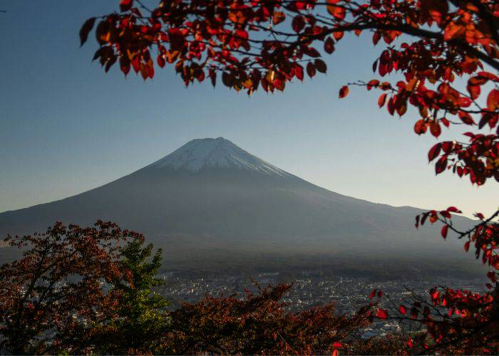 Mt. Fuji framed by vivid red fall foliage.