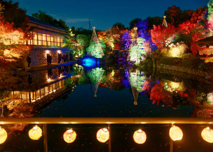 Mejiro Garden, illuminated at night to highlight the beauty of Japan's fall leaves.