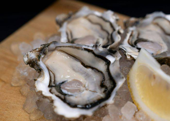 A serving of oysters on a bed of ice.