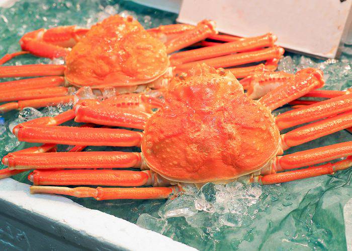 Two large snow crabs resting of a bed of ice; a vision of bright orange shell.