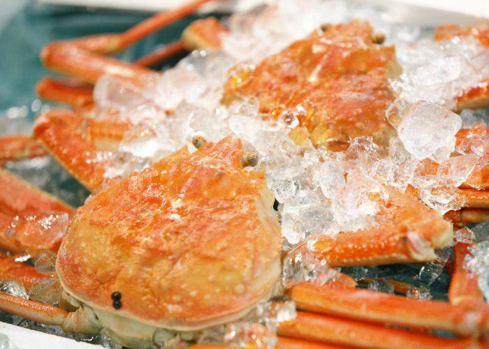 Two fresh snow crabs resting in ice.