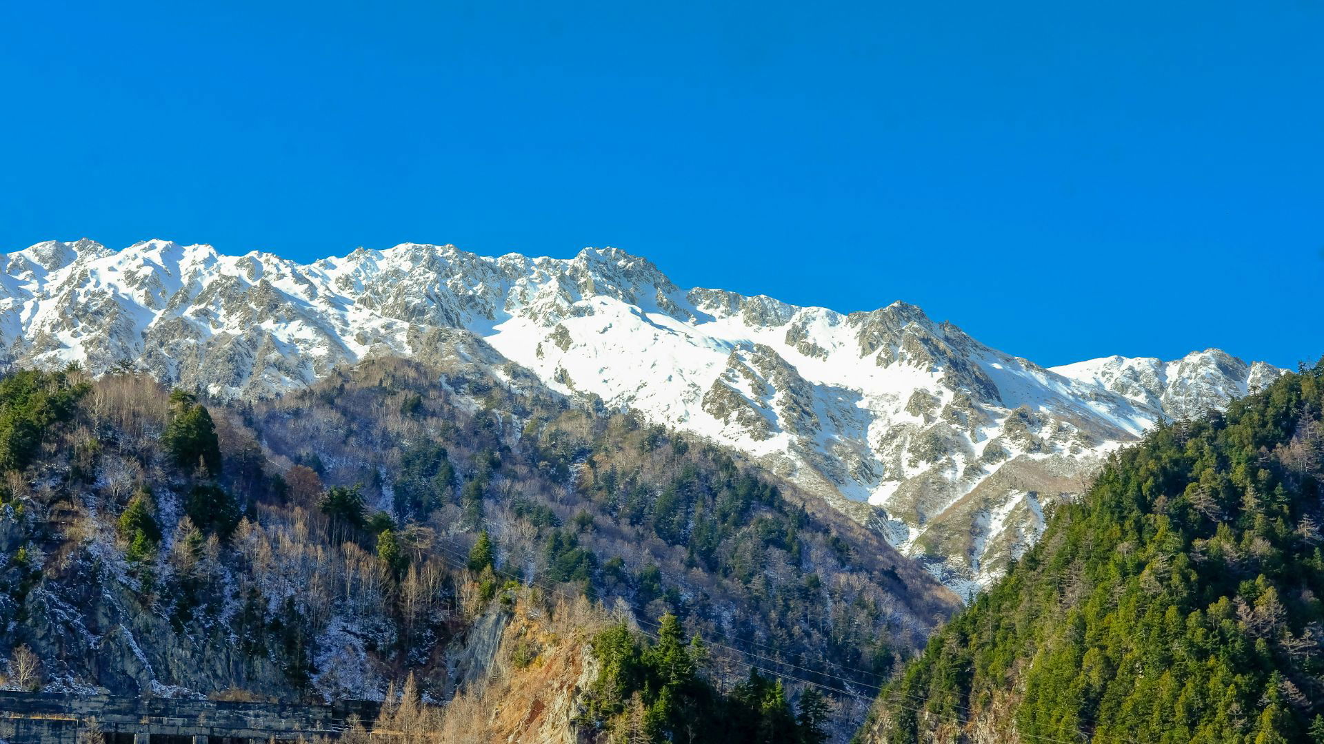 Image Slider