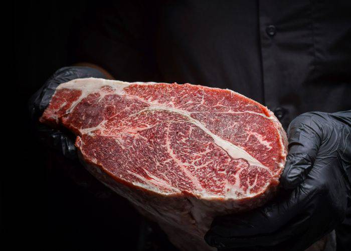 Someone in black gloves holding a luxurious slab of marbled wagyu beef.