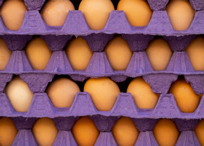 Rows and rows of brown eggs in purple cardboard cartons.