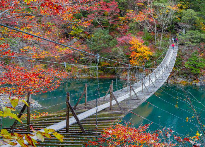 The beautiful Kokonoe Yume Grand Suspension Bridge as fall begins to take hold.