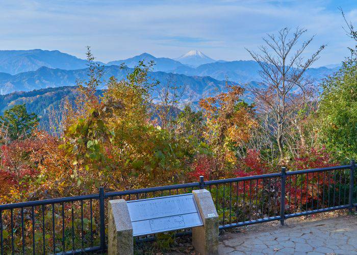 The views and fall foliage from the summit of Mt. Takao.