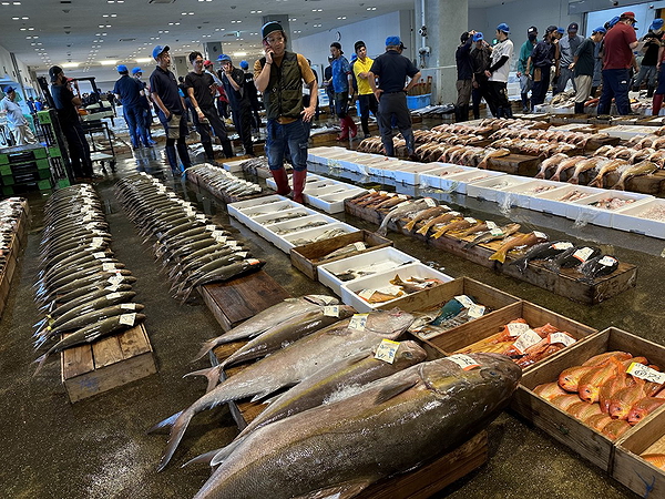 Kagoshima Fish Market Morning Tour 1