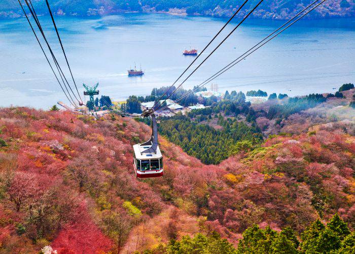 A cable car traveling up 