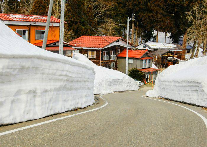 The roads of Niigata, piled high with snow on either side.