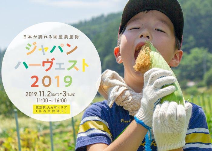 A picture with the Japan Harvest logo and a Japanese boy in a field eating some corn