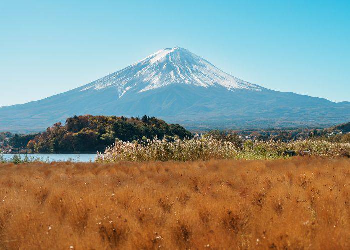 Looking up at Mt. Fuji, still covered in snow.