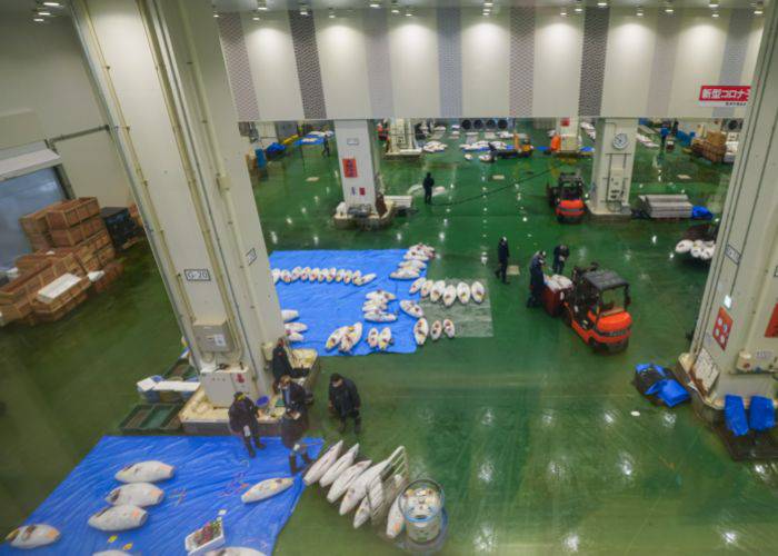 The interiors of Toyosu Fish Market, where works are preparing tuna for sale.