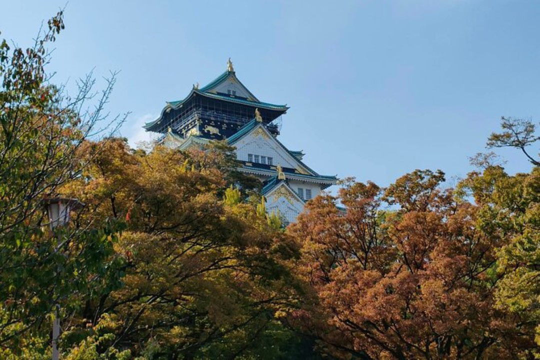 Osaka Castle towering above trees in Osaka.