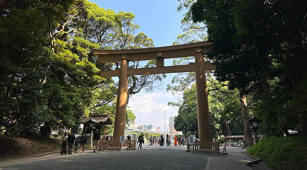 Refreshing Morning Walk and Brunch Around Meiji Shrine 8