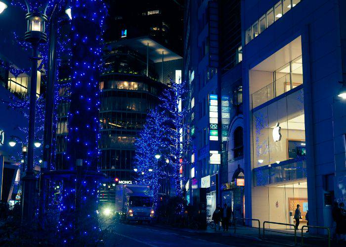 The streets of Tokyo illuminated for winter.