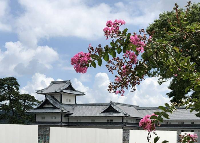 Flowers blossoming in front of Kanazawa Castle, set against a blue sky.