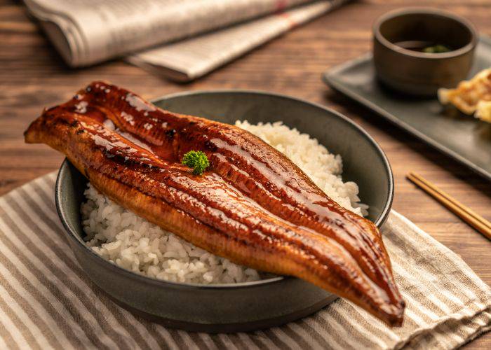 A filet of unagi Japanese eel, glossy with sauce and laid over a bed of rice.