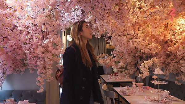 Elegant café filled with cherry blossom decor and cozy dining setup