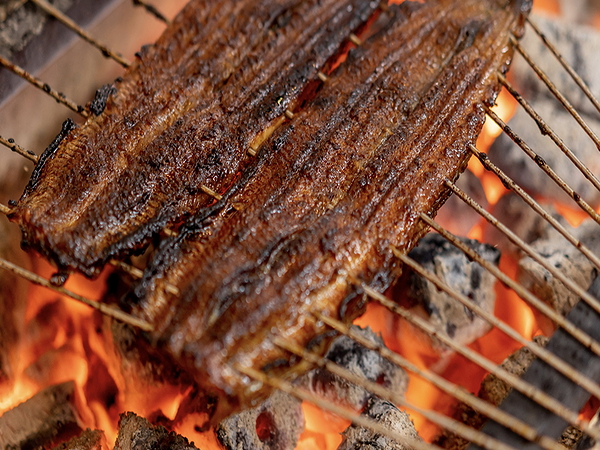 Grilled eel skewers sizzling over hot coals