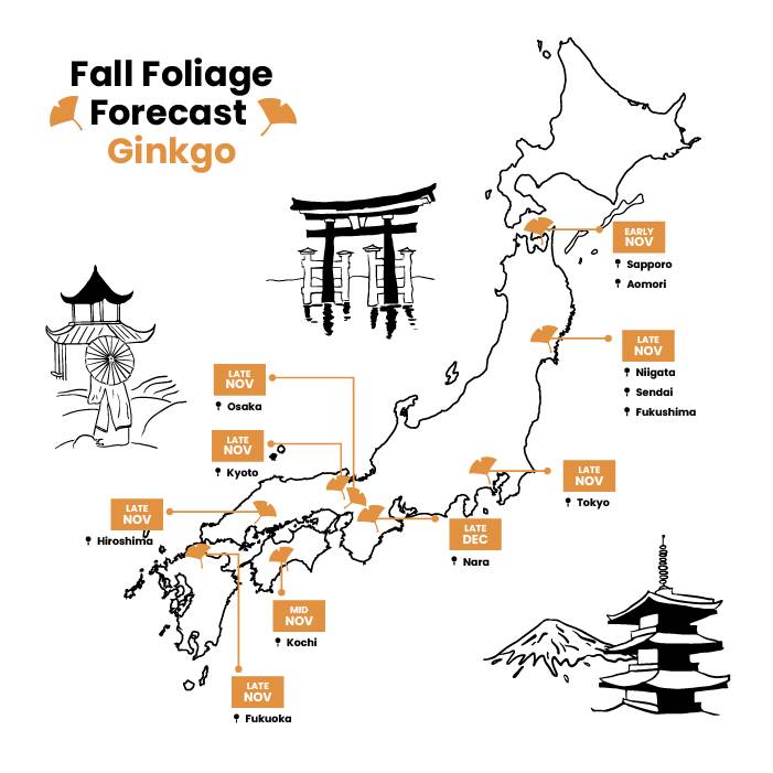 A map showing when ginkgo leaves will appear in Japan in 2024.