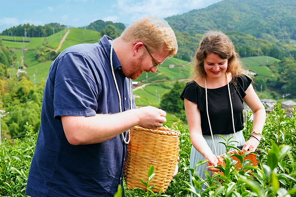 Kyoto Premium Tea Farm Tour & Gourmet Experience in Wazuka 1