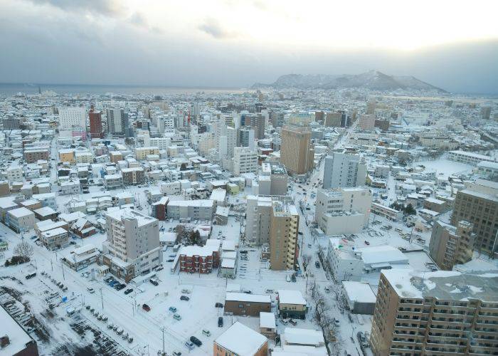 Looking out over Hakodate in Hokkaido, covered in snow.