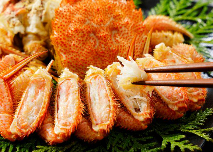 A fresh Horsehair crab, with chopsticks pulling out the tender meat inside.