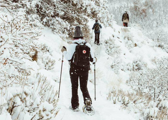 Taking a winter hike with snowshoes and walking poles through a snowy trail.