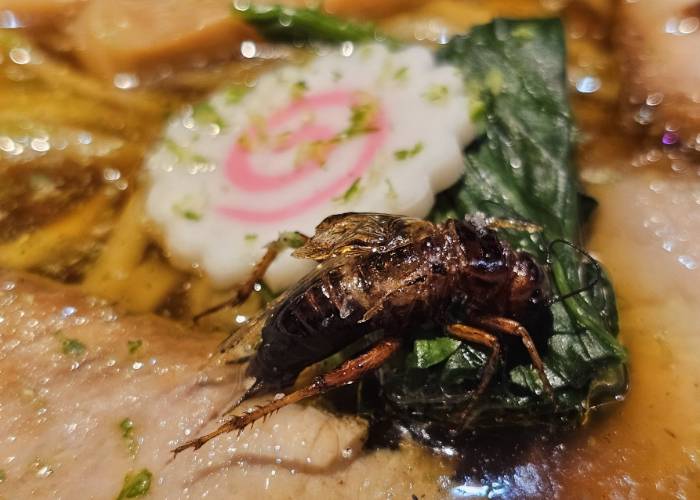 A close-up of ANTCICADA's crispy cricket ramen.