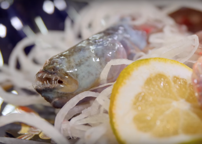 An image of of a warasubo fish sat on a bed of onions with a lemon next to it zoomed in on it's face that has small pointy teeth