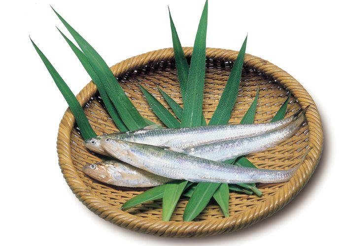 Several Etsu, Japanese anchovy, from Saga Prefecture on a bamboo platter
