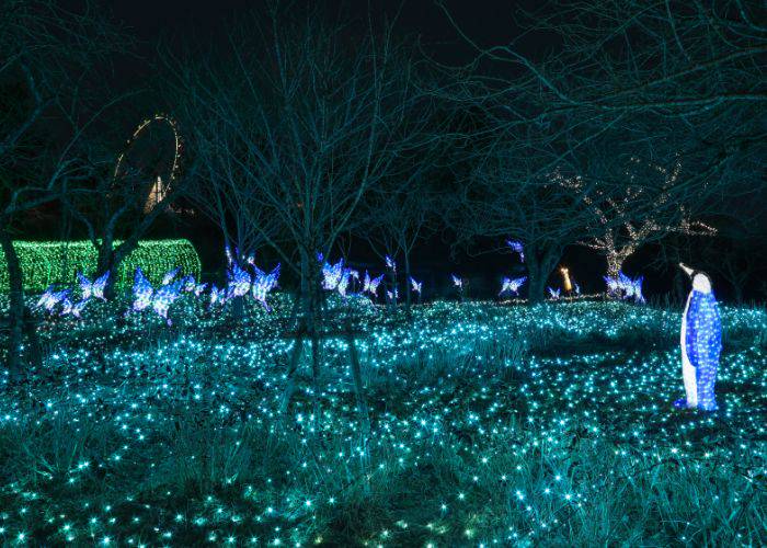 Kyoto winter illuminations, celebrating the season with thousands of LED lights and decorations.