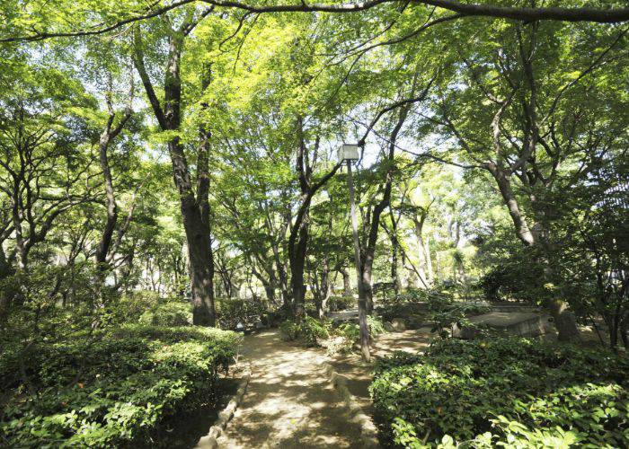 The natural scenes of Korekiyo Takahashi Memorial Park, as you might see from the windows of Connel Coffee.