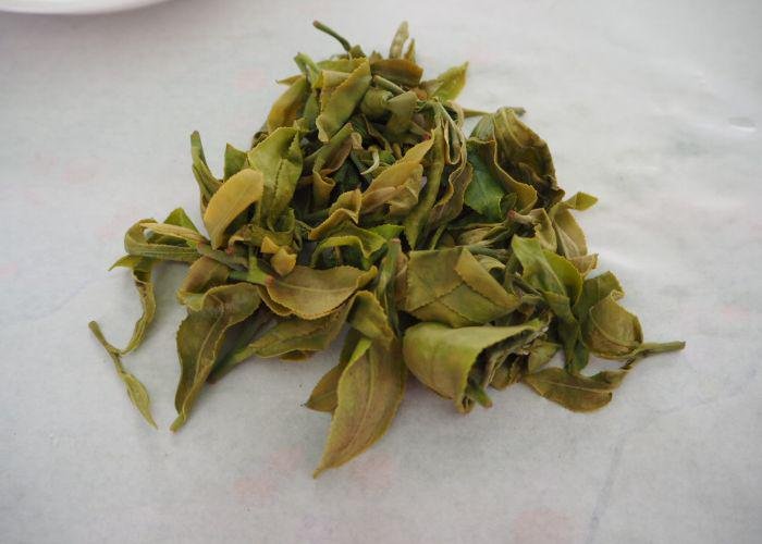 A close up of green tea leaves drying