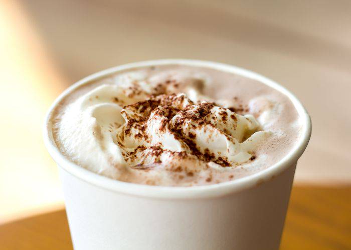 A hot chocolate topped with whipped cream and cocoa dusting.