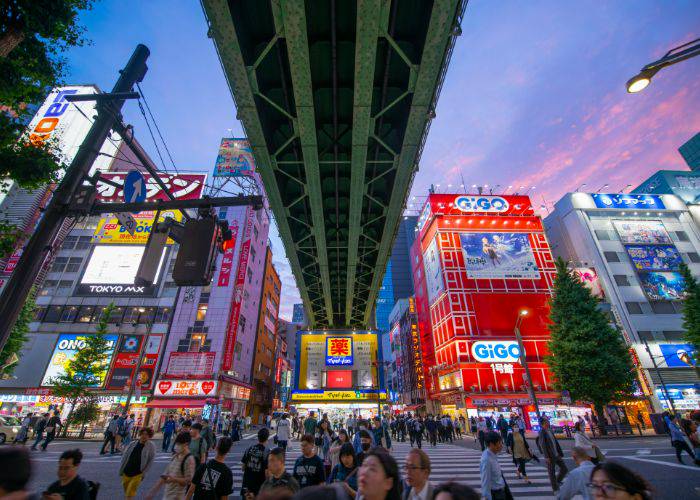 The bright lights of Akihabara's Electric Town as the sun sets.