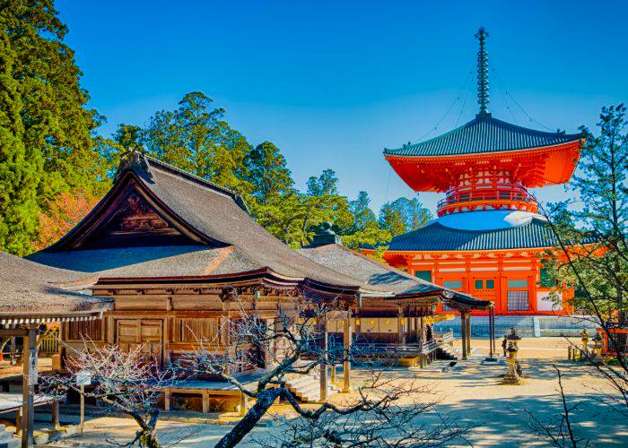 A traditional temple discovered on Mt. Koya.